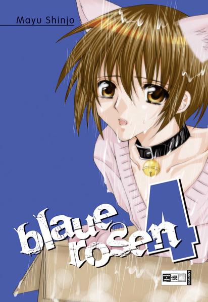 Blaue Rosen 04