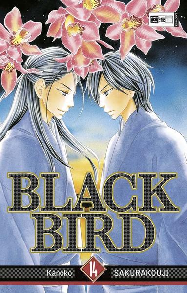 Black Bird 14