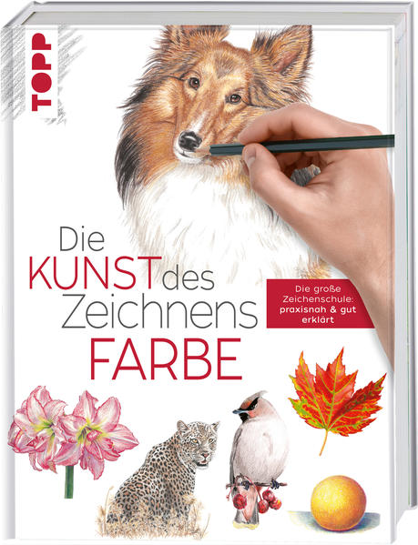 Die Kunst des Zeichnens - Farbe