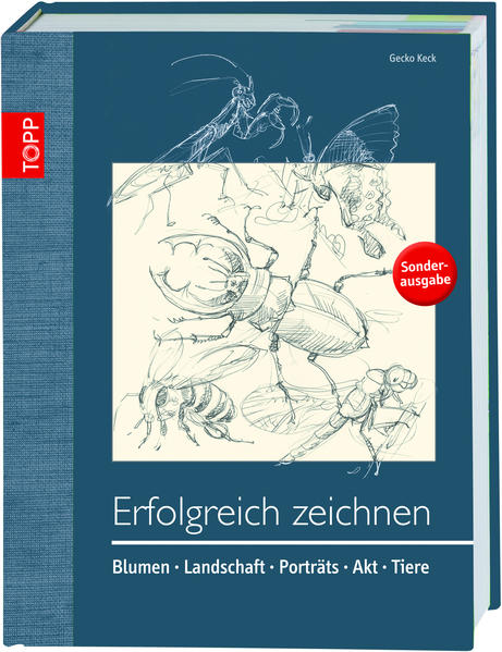 Erfolgreich zeichnen