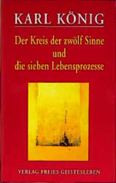 Der Kreis der zwölf Sinne und die sieben Lebensprozesse