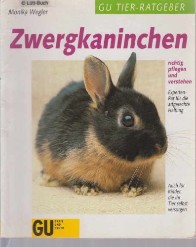 Zwergkaninchen richtig pflegen und verstehen