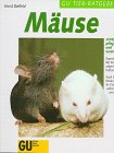 Mäuse richtig pflegen und verstehen