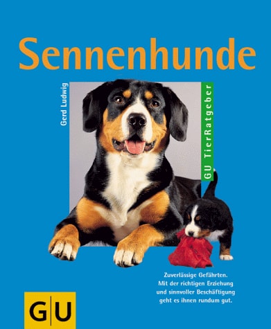 Sennenhunde richtig pflegen und verstehen