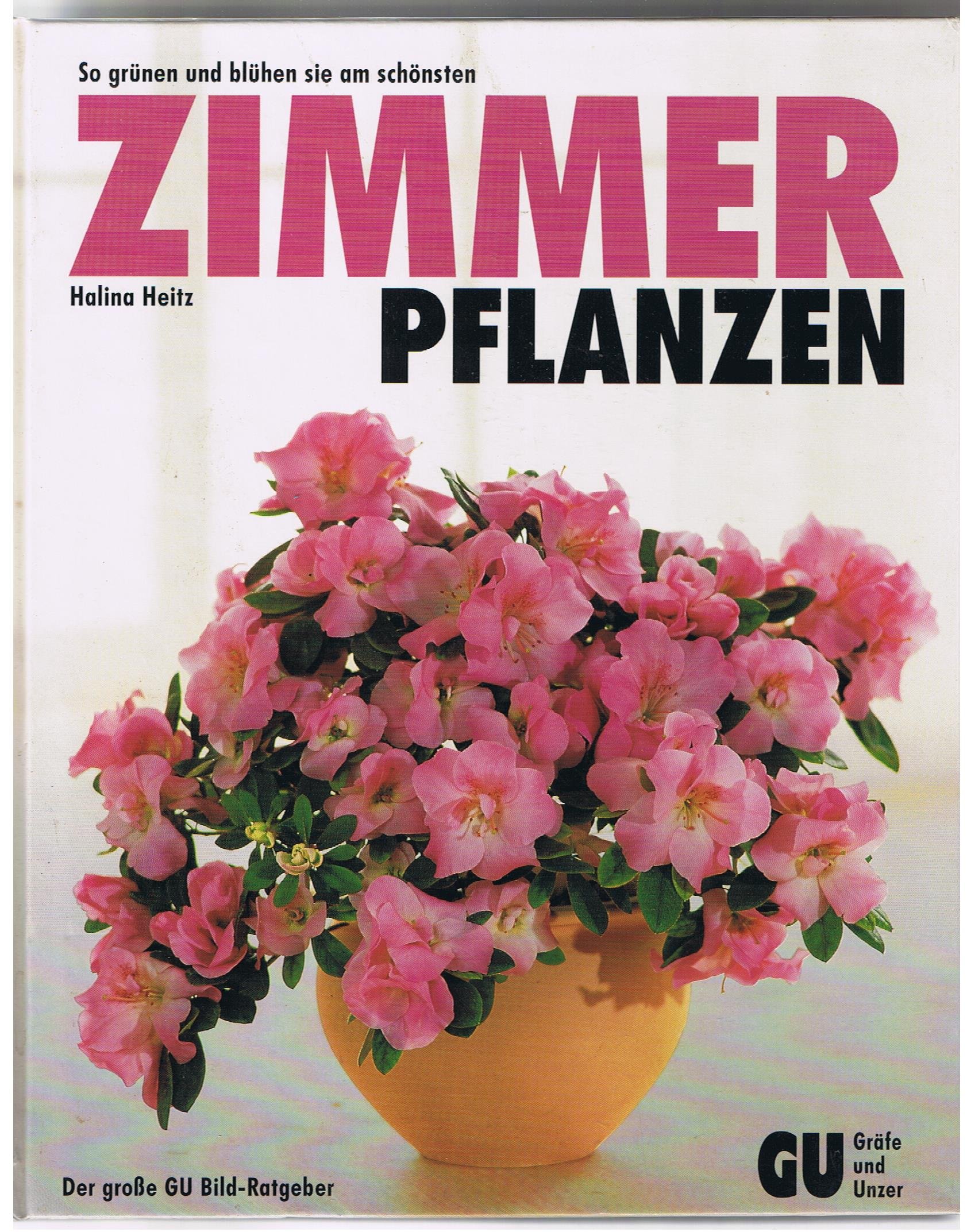 So grünen und blühen sie am schönsten: Zimmerpflanzen