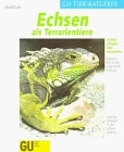 Echsen als Terrarientiere richtig pflegen und verstehen