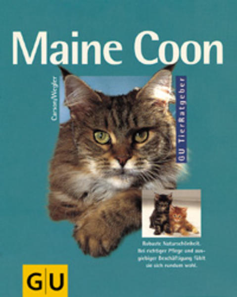 Maine Coon