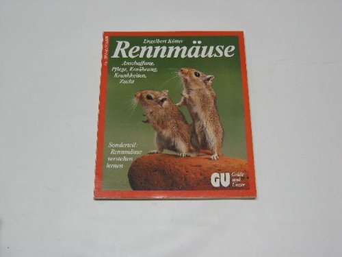 Rennmäuse richtig pflegen und verstehen