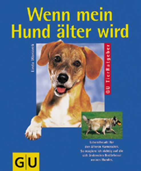 Wenn mein Hund älter wird