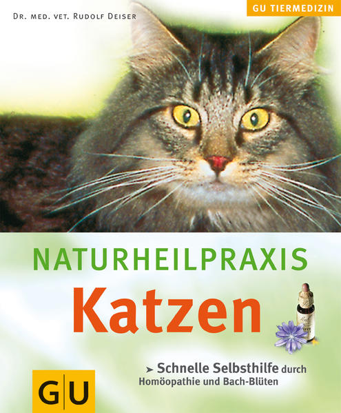 Katzen, Naturheilpraxis