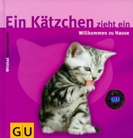 Ein Kätzchen zieht ein
