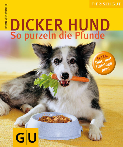 Dicker Hund