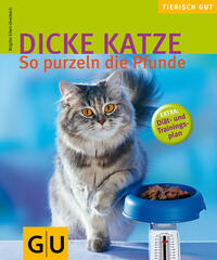 Dicke Katze