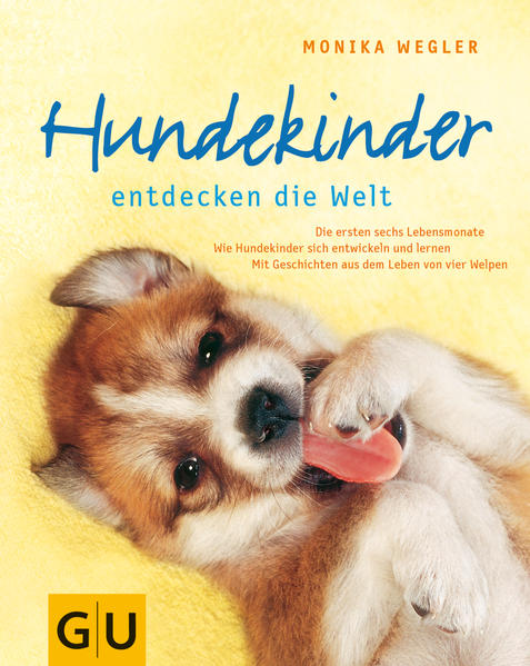 Hundekinder entdecken die Welt