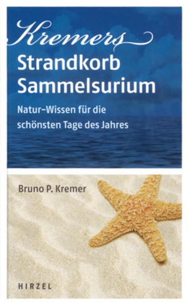 Kremers Strandkorb-Sammelsurium