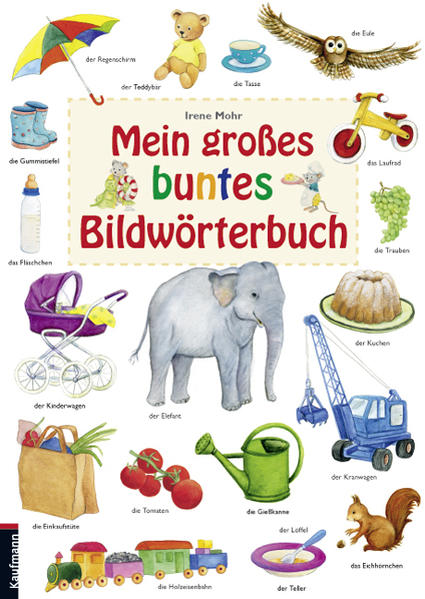 Mein großes buntes Bildwörterbuch