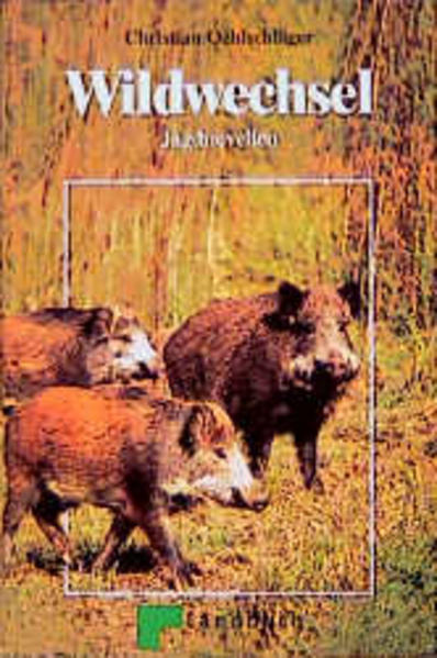 Wildwechsel