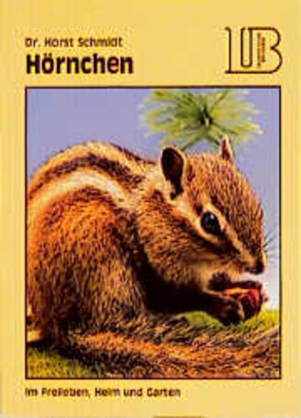 Hörnchen