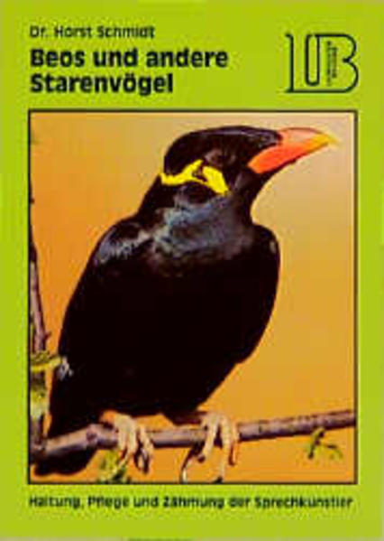 Beos und andere Starenvögel