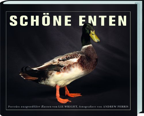 Schöne Enten