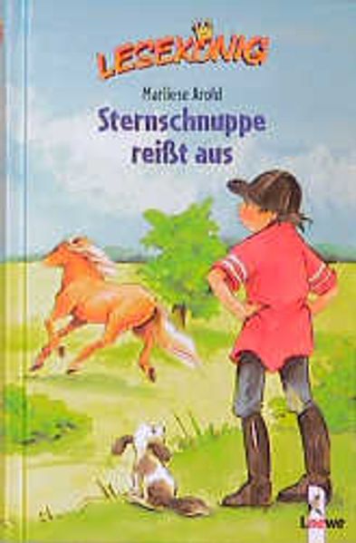 Sternschnuppe reisst aus