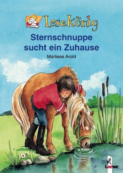 Sternschnuppe sucht ein Zuhause
