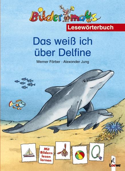 Das weiss ich über Delfine