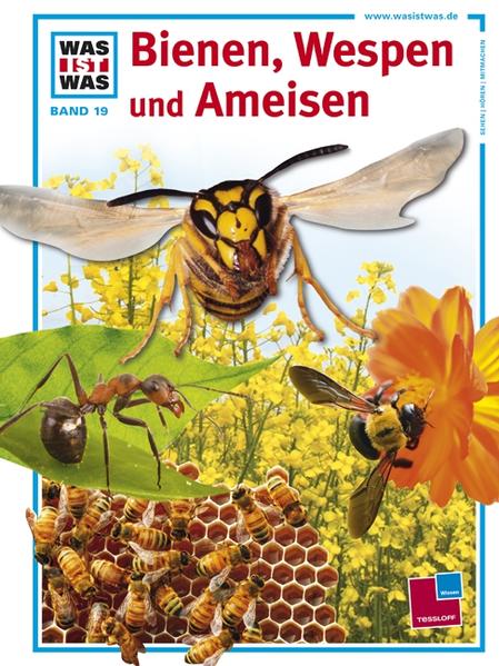 Was ist was, Band 019: Bienen, Wespen und Ameisen