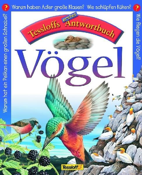 Vögel