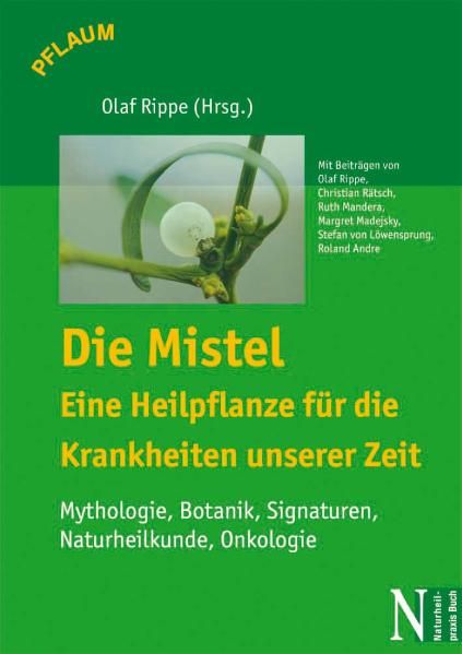 Die Mistel eine Heilpflanze unserer Zeit