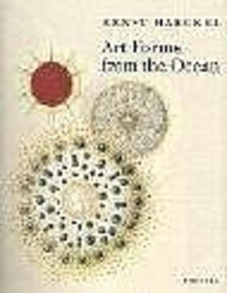 Haeckel: Art Forms from the Ocean