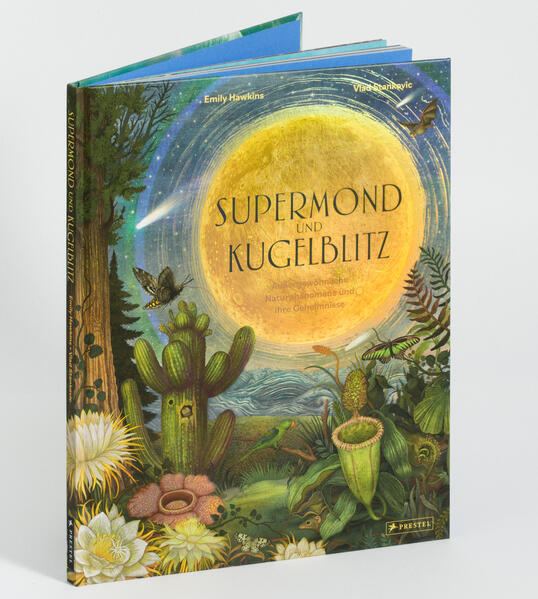 Supermond und Kugelblitz