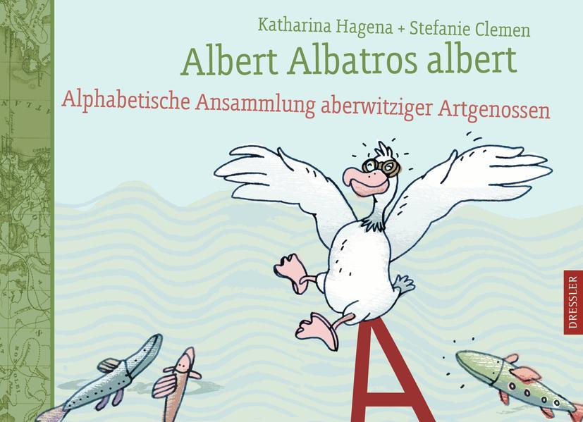 Albert Albatros albert