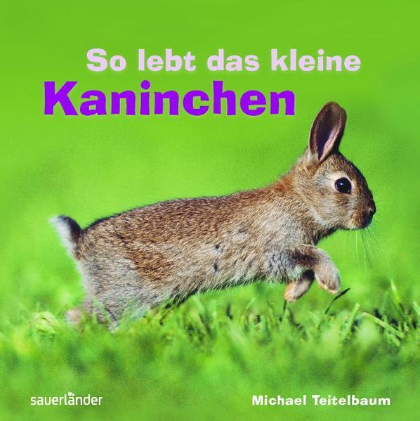 So lebt das kleine Kaninchen