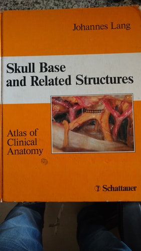 Skull Base of Related Structures