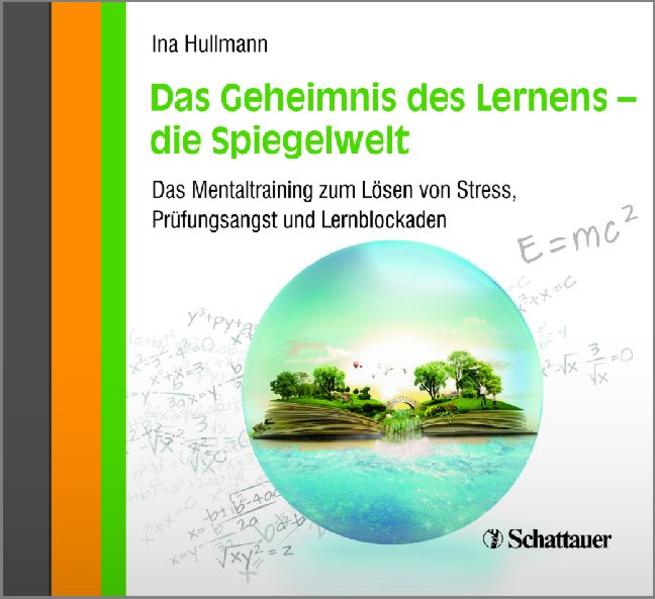Das Geheimnis des Lernens - die Spiegelwelt