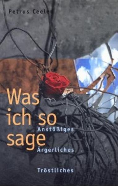 Was ich so sage