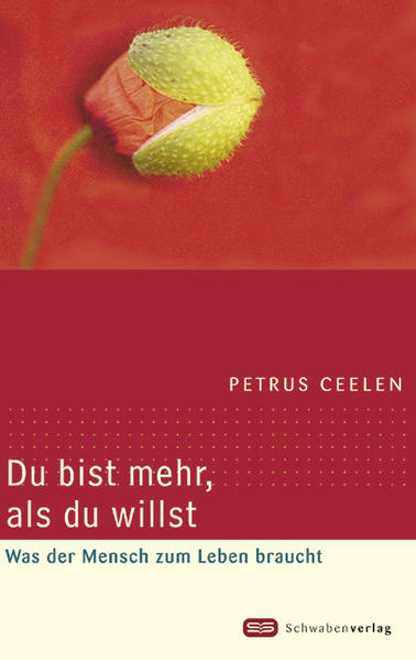 Du bist mehr, als du willst
