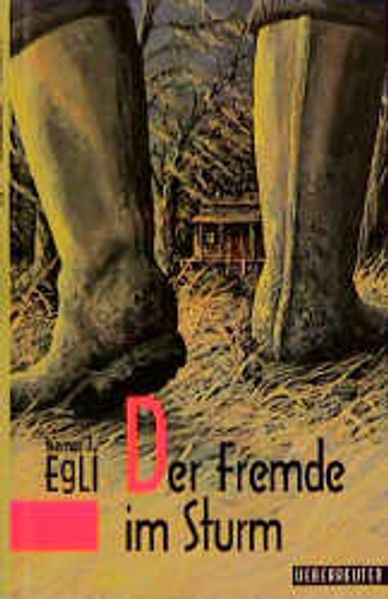 Der Fremde im Sturm