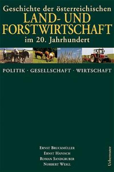 Politik, Geschichte, Wirtschaft