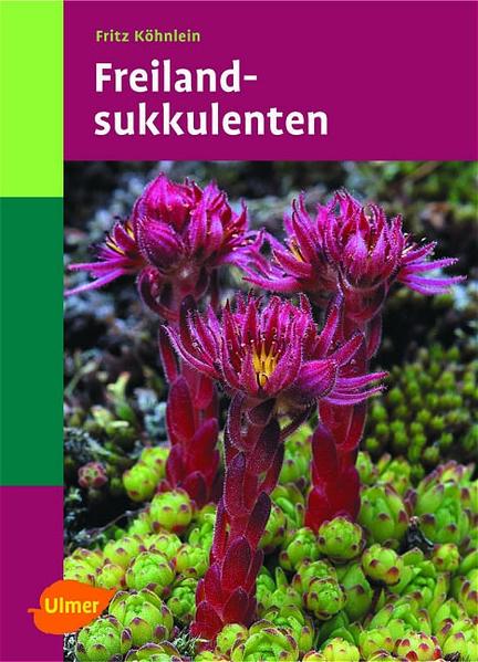 Freilandsukkulenten