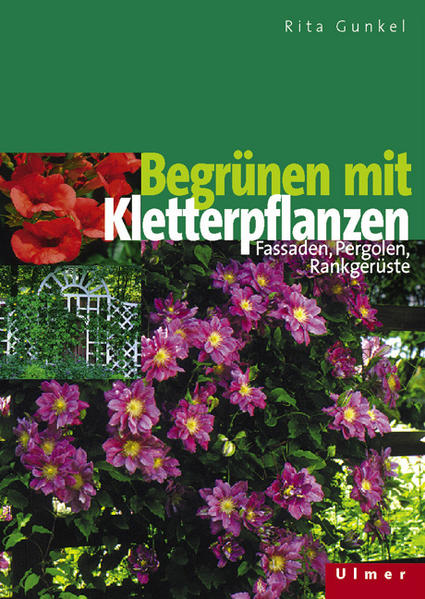 Begrünen mit Kletterpflanzen