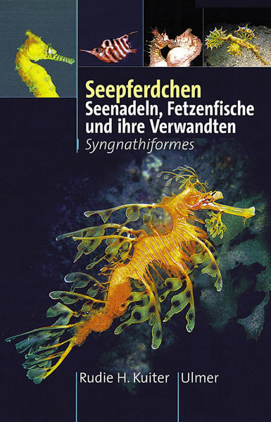 Seepferdchen, Seenadeln, Fetzenfische und ihre Verwandten