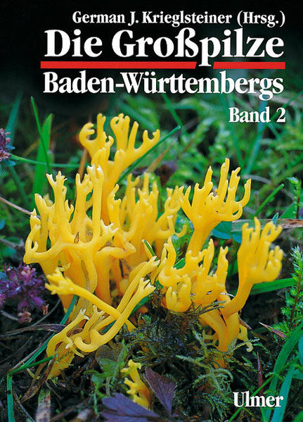 Die Grosspilze Baden-Württembergs / Die Großpilze Baden-Württembergs Band 2