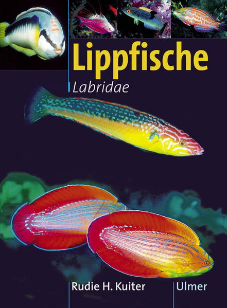 Lippfische