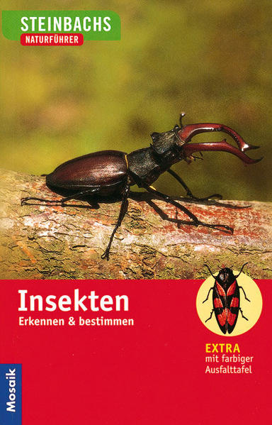 Steinbachs Naturführer Insekten