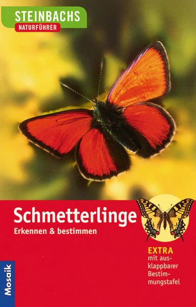Steinbachs Naturführer Schmetterlinge