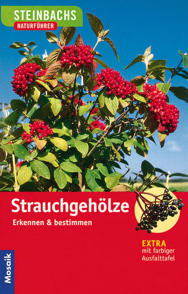 Strauchgehölze