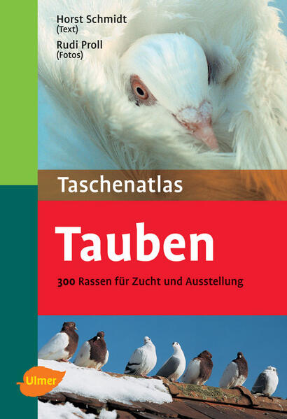 Tauben