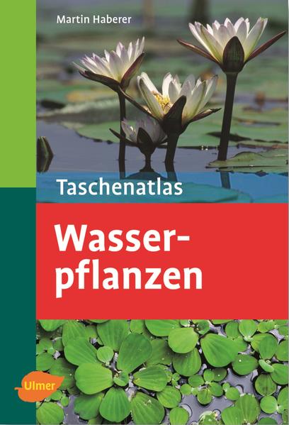 Wasserpflanzen